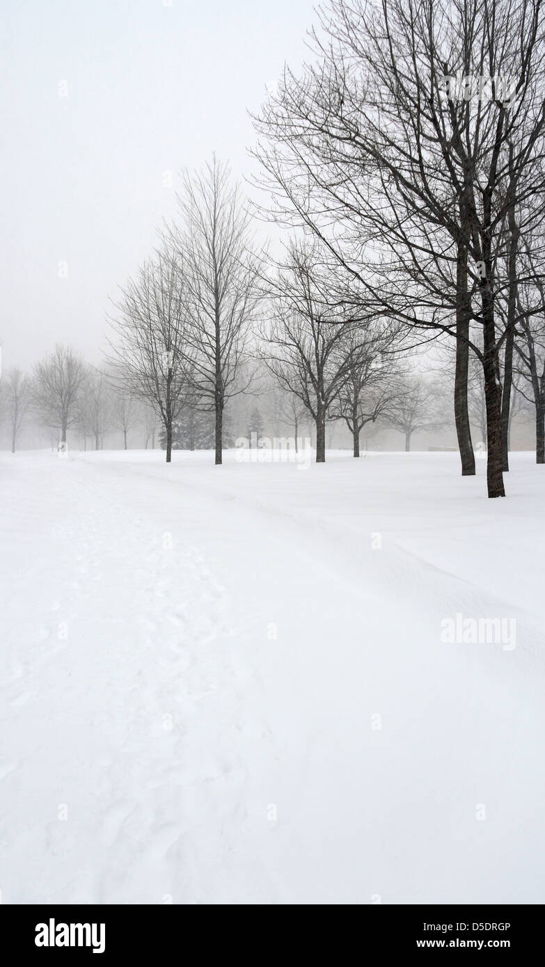 Snow covered alley in a winter park during a snowfall Stock Photo - Alamy