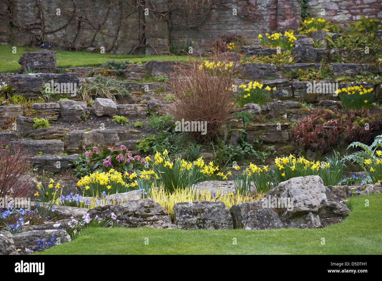 Spring flowers in bournemouth lower gardens hires stock photography
