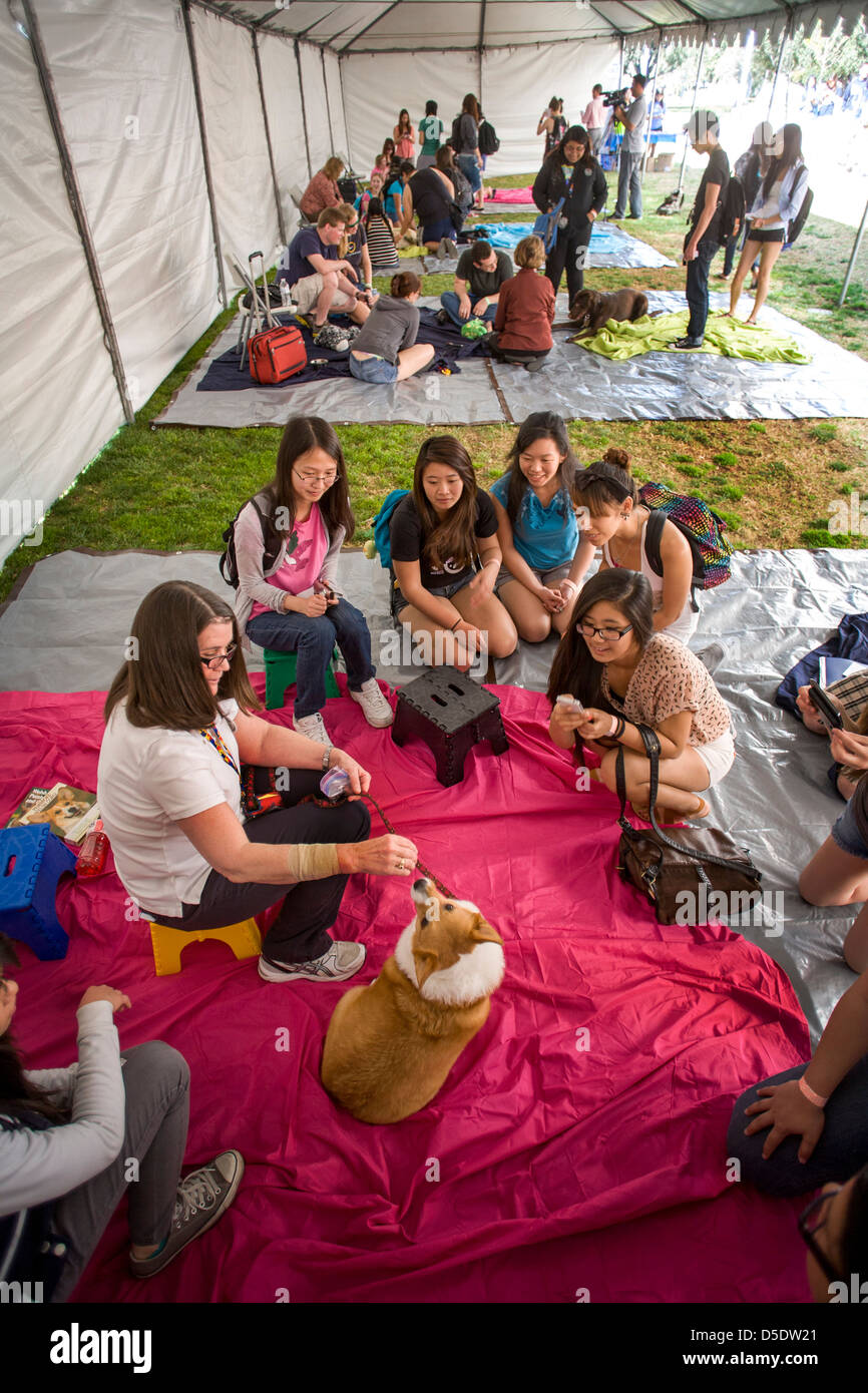 During final exams at the University of California at Riverside students sign up to relieve