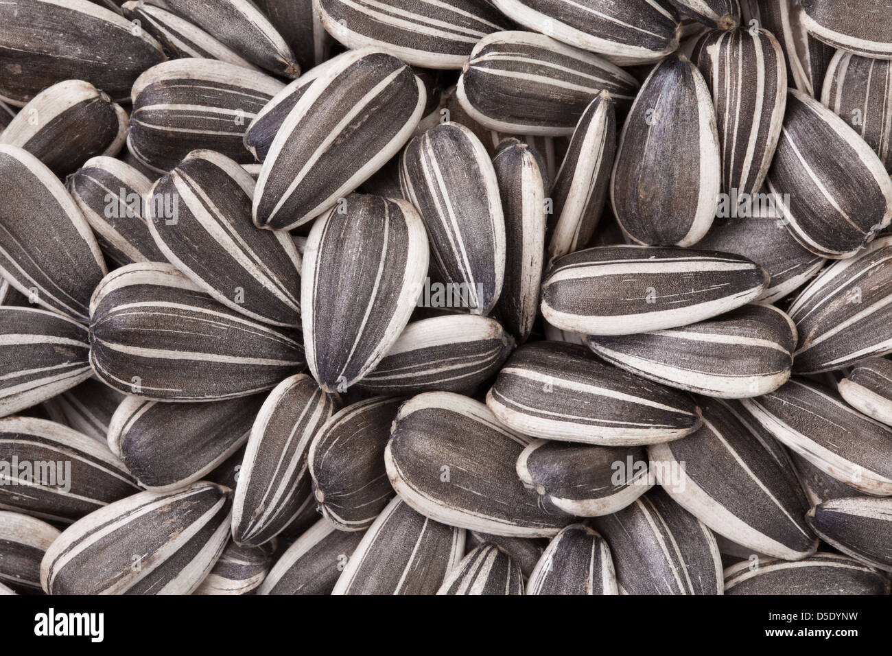 Small black seeds hi-res stock photography and images - Alamy