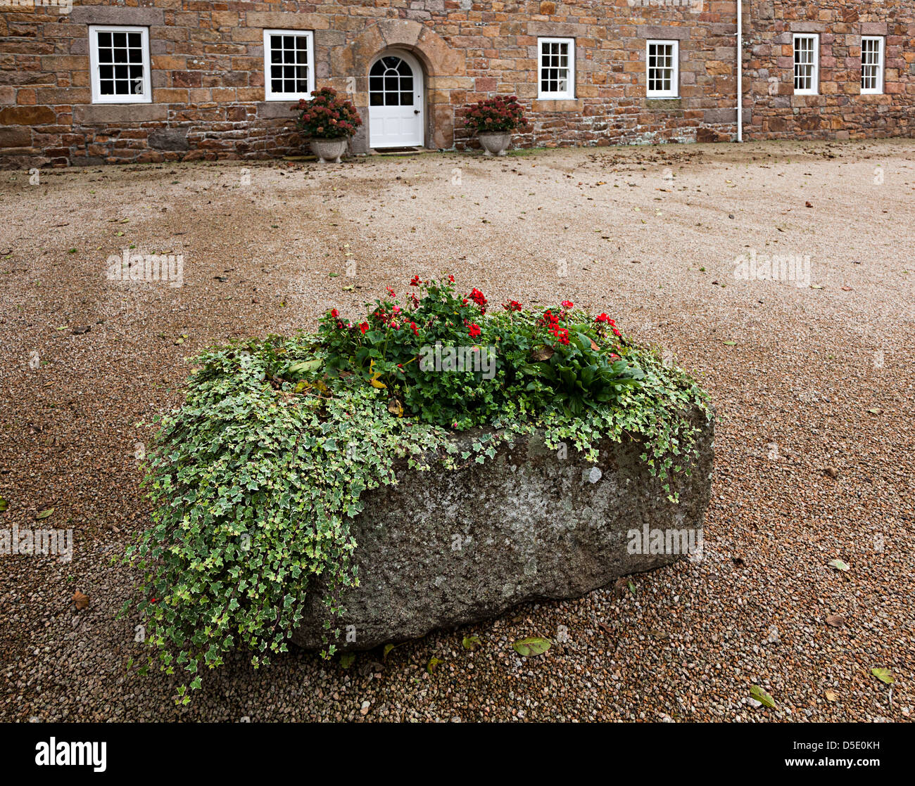 Flowers growing in stone trough outside country house, Jersey, Channel