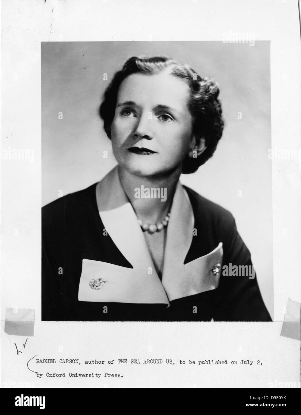 A portrait of Rachel Louise Carson, a pioneering marine biologist and author, best known for her book *Silent Spring*. Carson’s work raised awareness about environmental issues, influencing public policy and the environmental movement in the U.S. Stock Photo