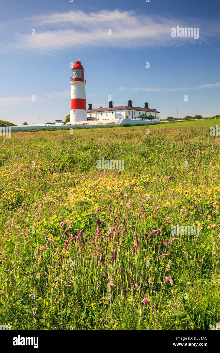 Souter Lighthouse near Marsden on Tyneside captured in late June Stock Photo