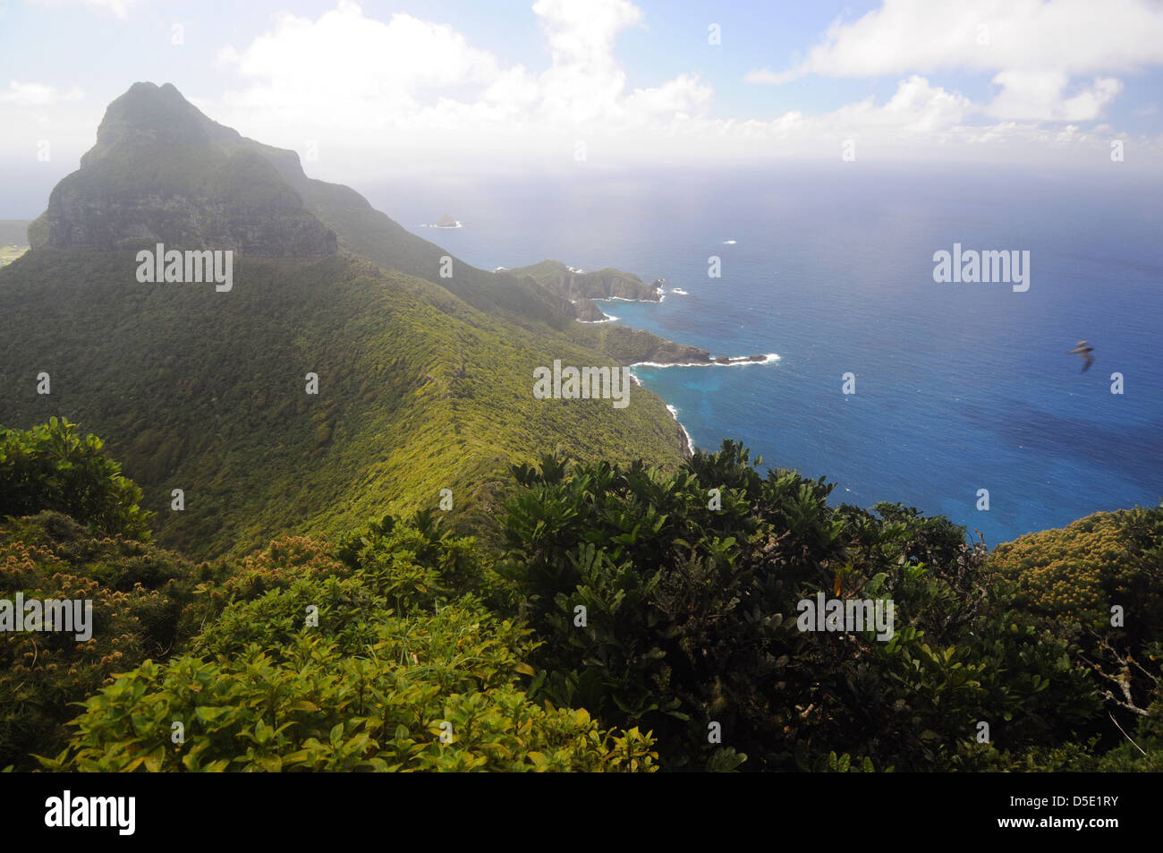 View down ridge connecting Mt Gower with Mt Lidgbird, and eastern coast of Lord Howe Island, Australia Stock Photo