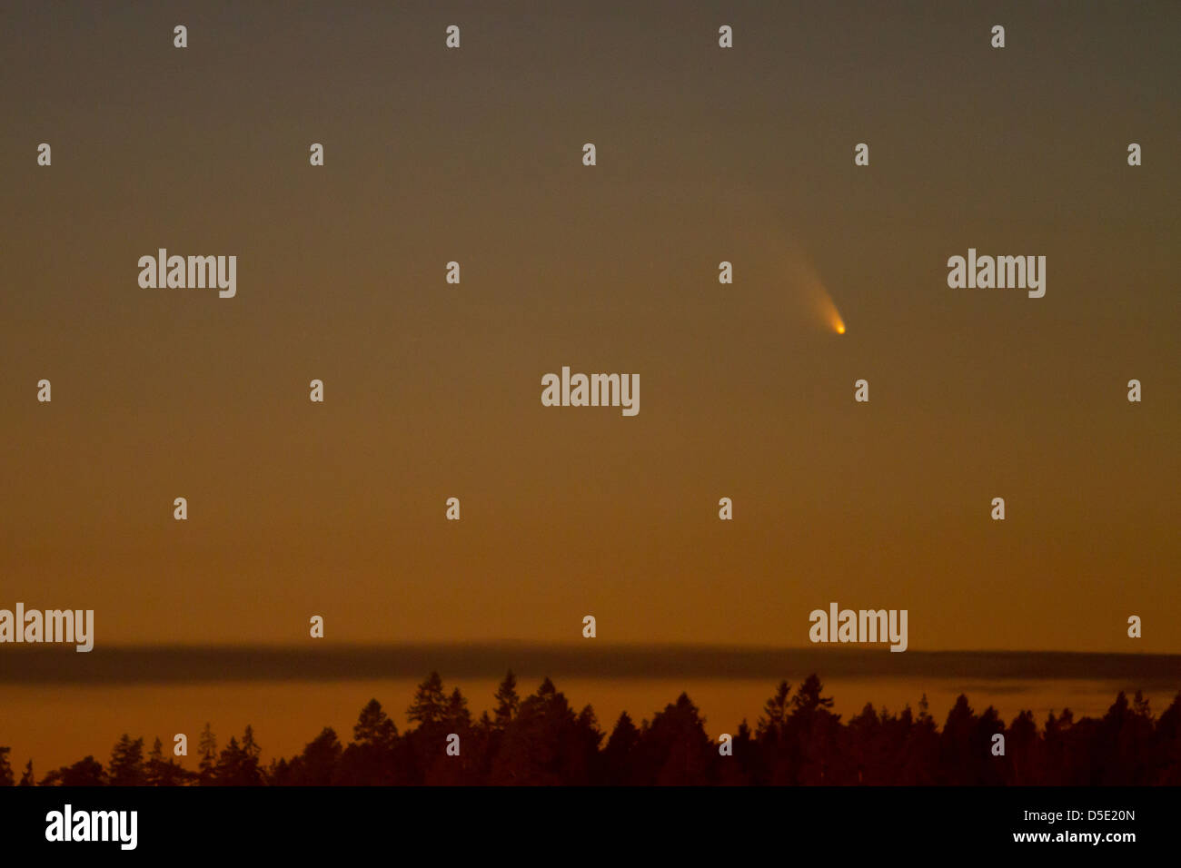 Pan-STARRS (C/201 L4) comet seen from Sweden Stock Photo