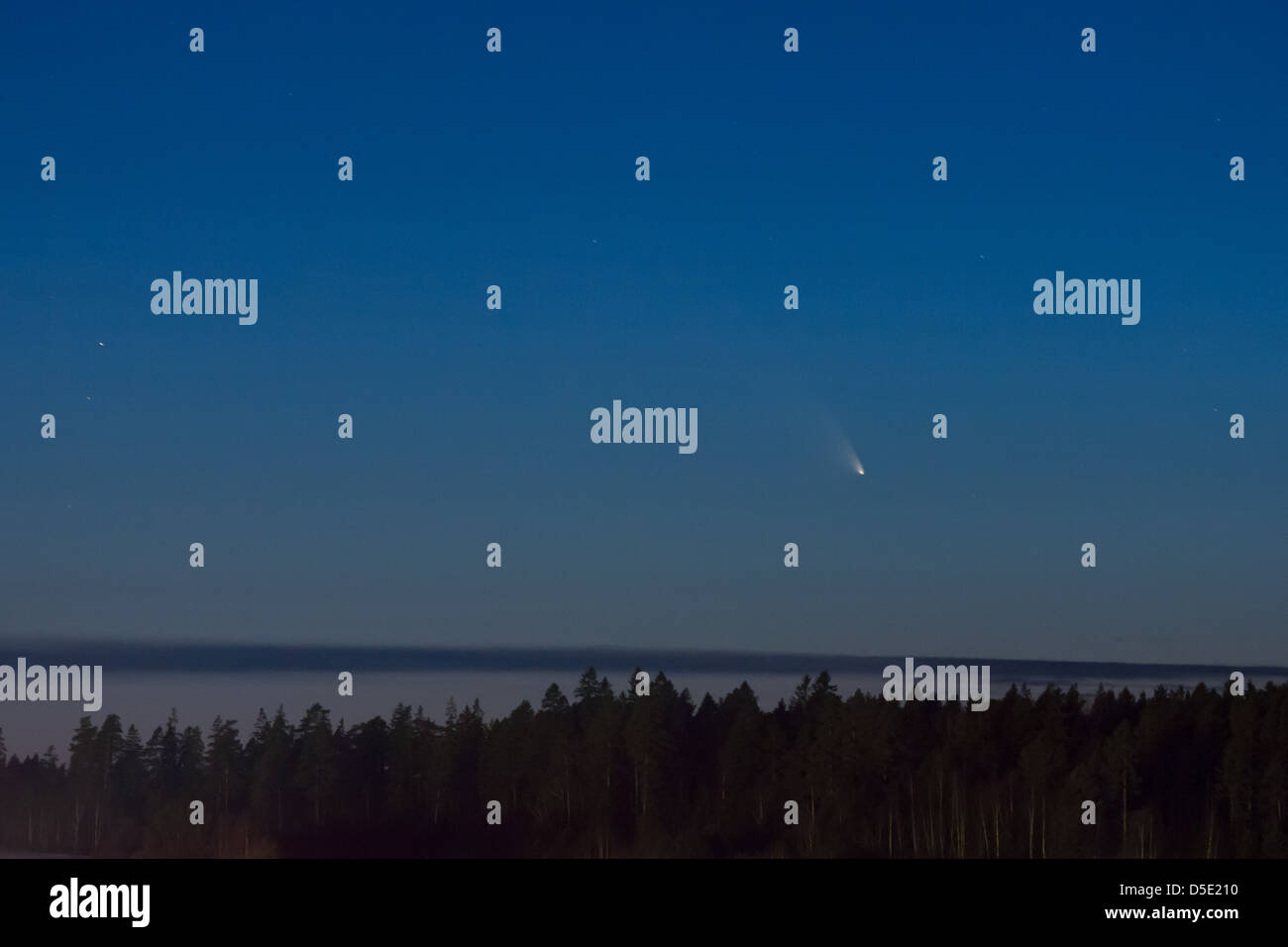 Pan-STARRS (C/201 L4) comet seen from Sweden Stock Photo