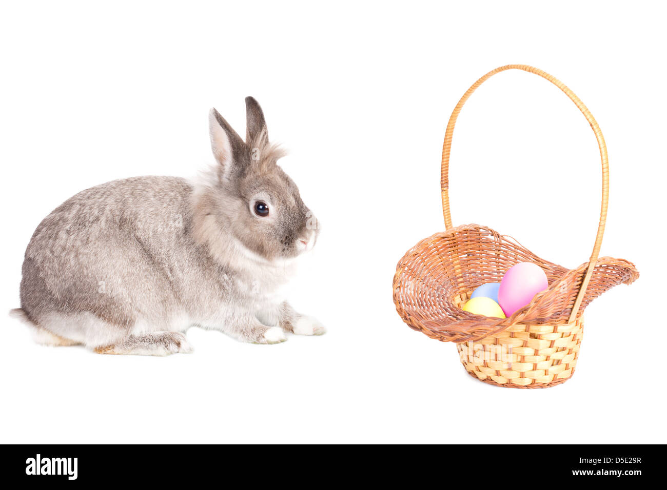 Cute little fluffy grey Easter Bunny with a pretty wicker basket filled with traditional painted Easter eggs in the soft pastel Stock Photo
