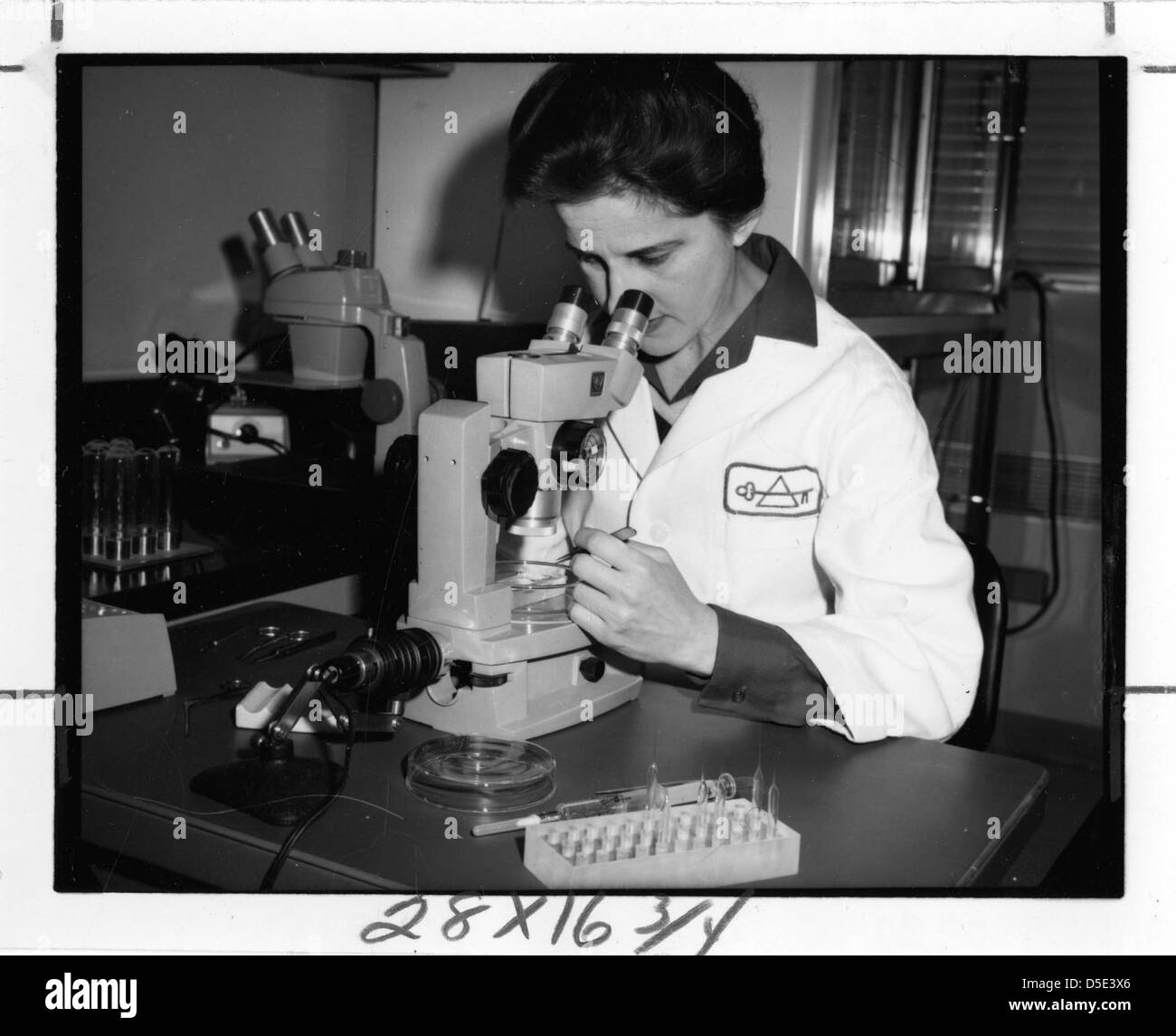 Beatrice Mintz (b. 1921 Stock Photo - Alamy