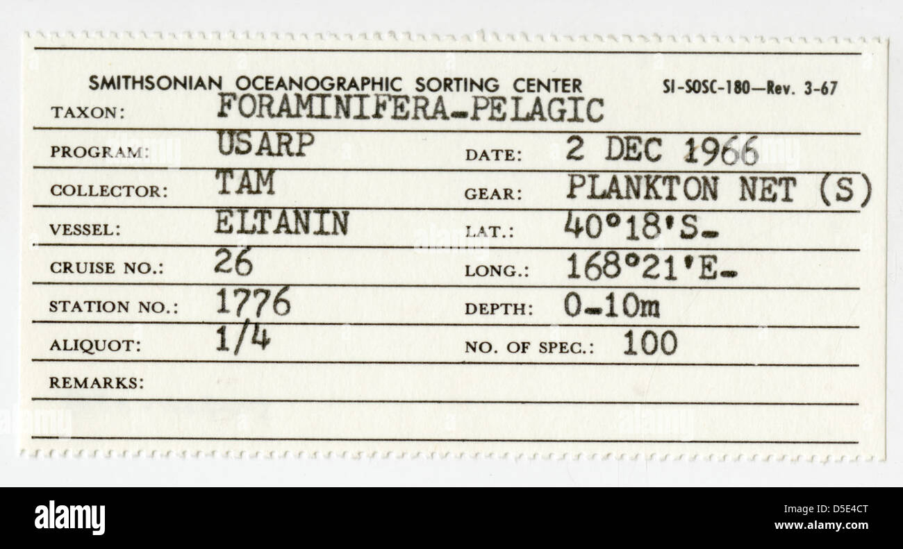 Specimen label from Allan Bé's Eltanin cruise 26 Stock Photo