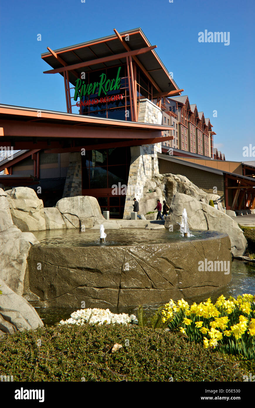 Fountain rocks pools daffodils front River Rock Casino Resort hotel complex Richmond BC Canada Stock Photo