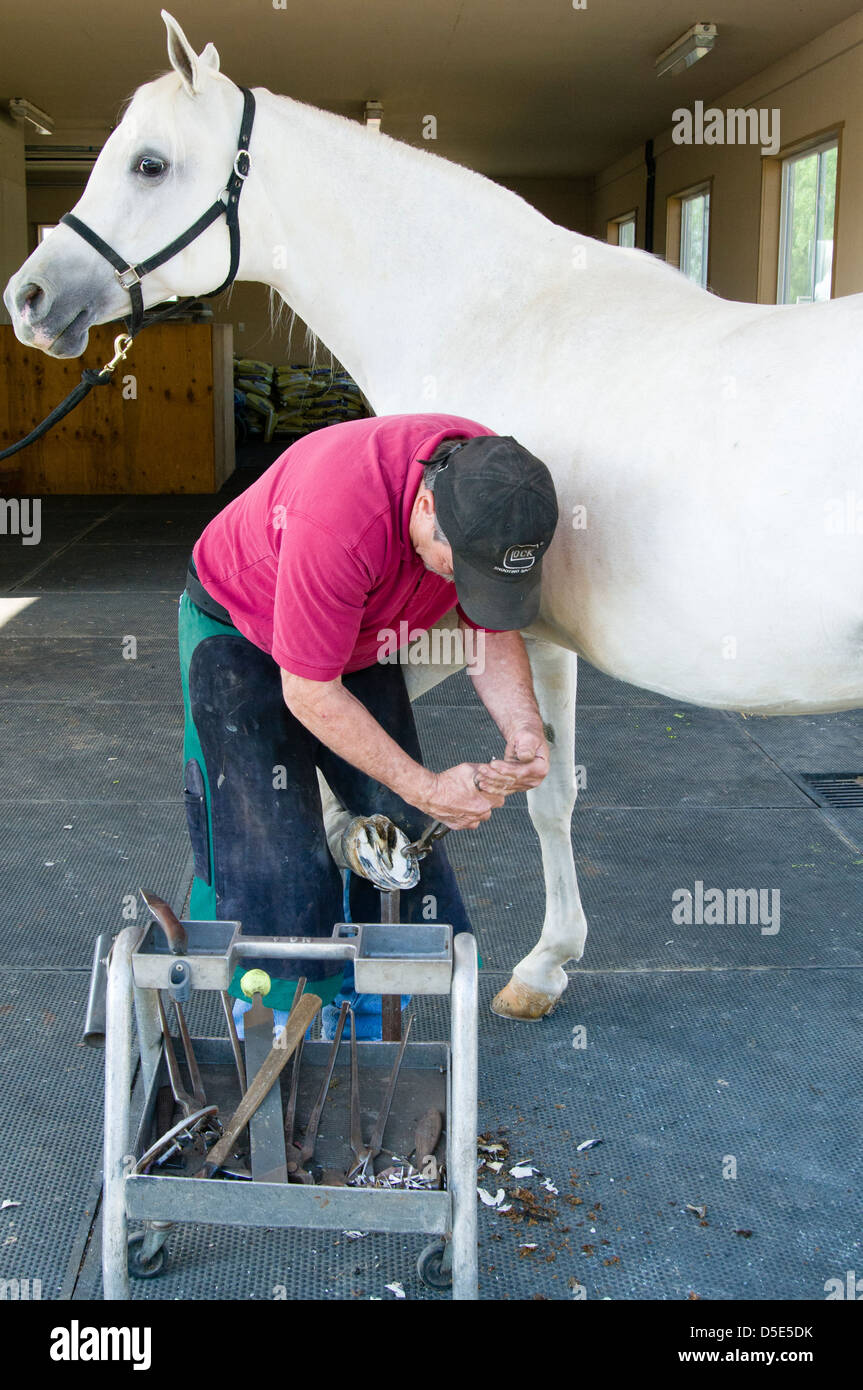Hoof trimming hires stock photography and images Alamy