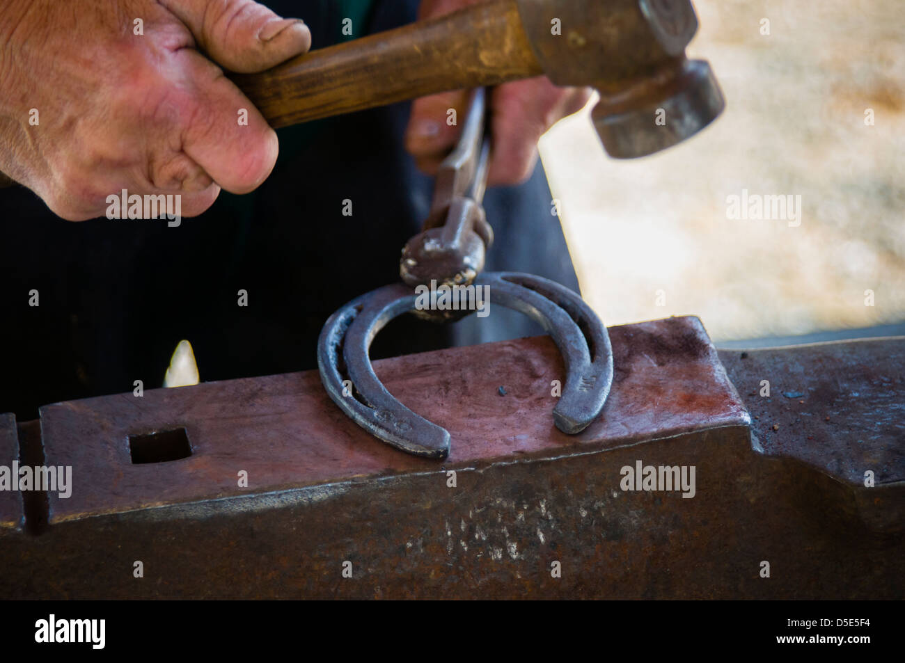 Farrier forming horseshoe with hammer on anvil. Brentwood, California