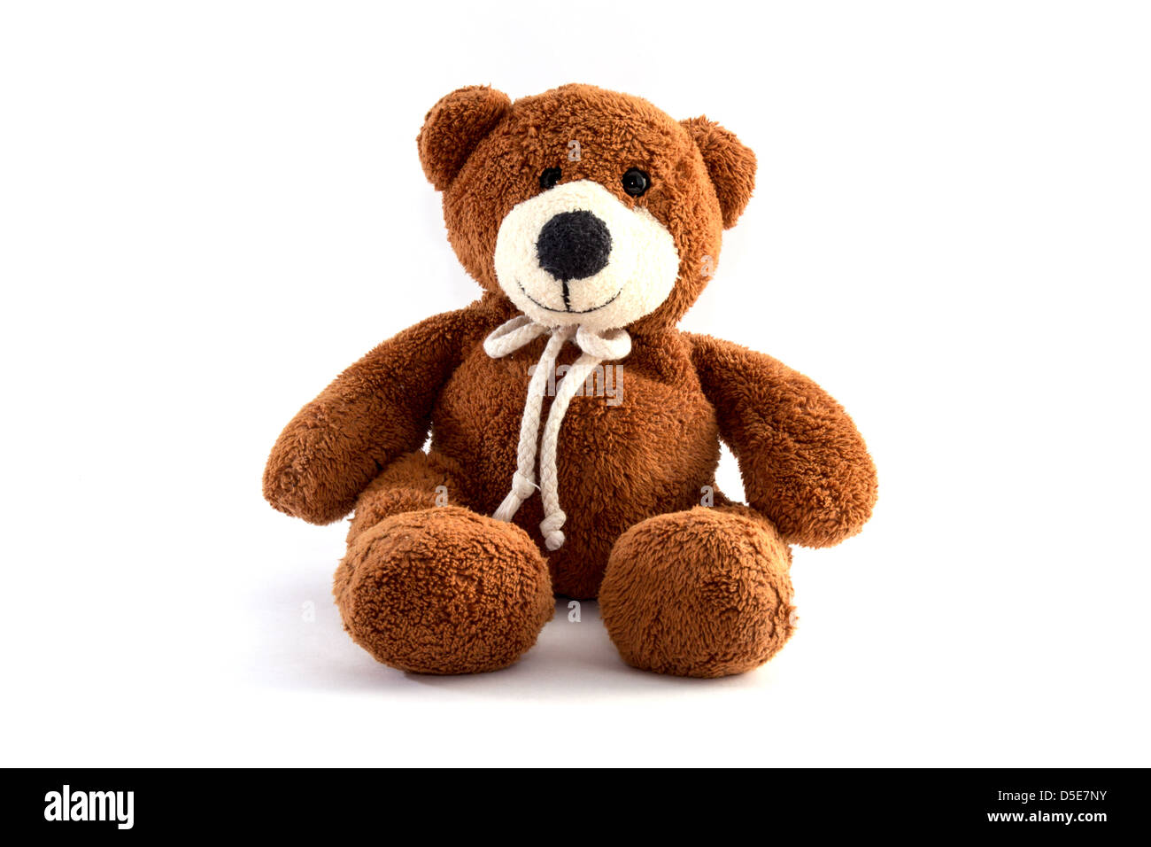 Brown teddy bear on a white background Stock Photo Alamy
