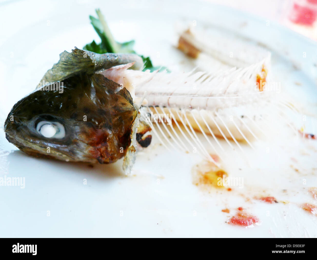 Skeleton of salmon hires stock photography and images Alamy