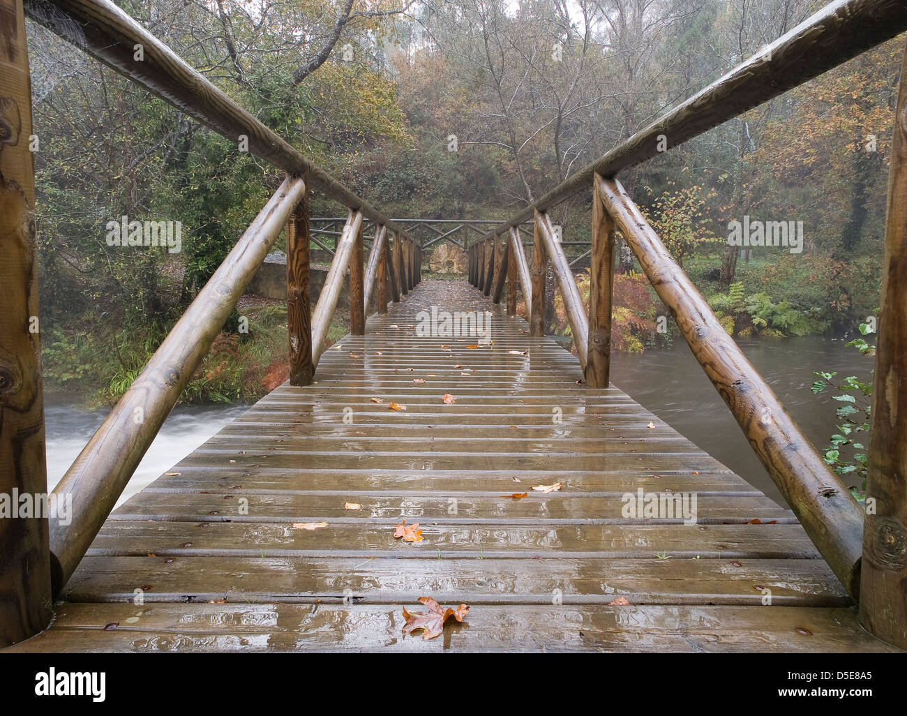 Bridge in the forest on a rainy day Stock Photo