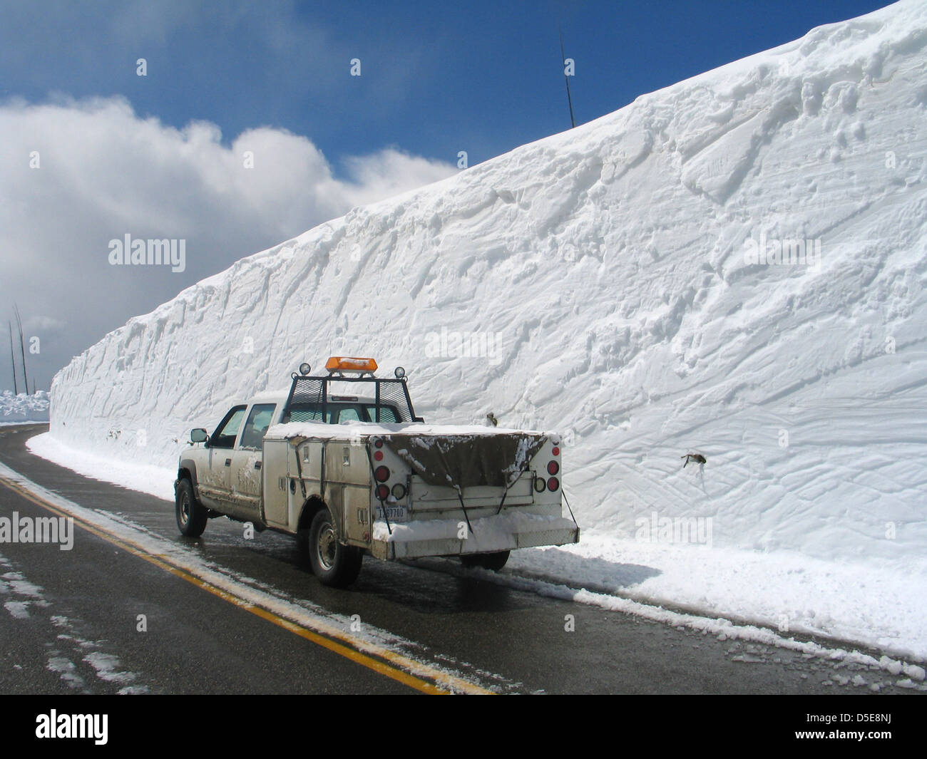 A truck next to a twenty foot high wall of snow from the Sylvan Pass in Absaroka Mountain Range Yellowstone National Park April 28, 2008 in Wyoming. Stock Photo