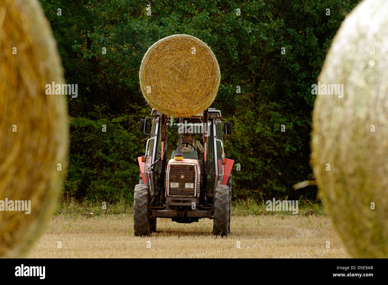 Farmer lifting a bale of straw with tractor, UK Stock Photo