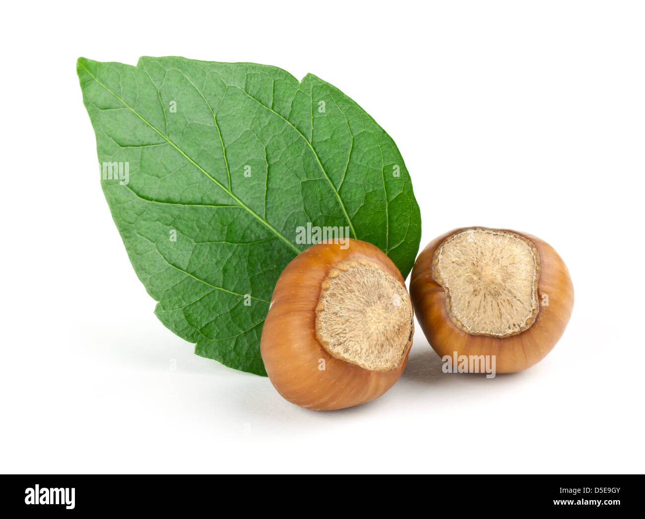 Hazelnuts Composition isolated on white background Stock Photo Alamy