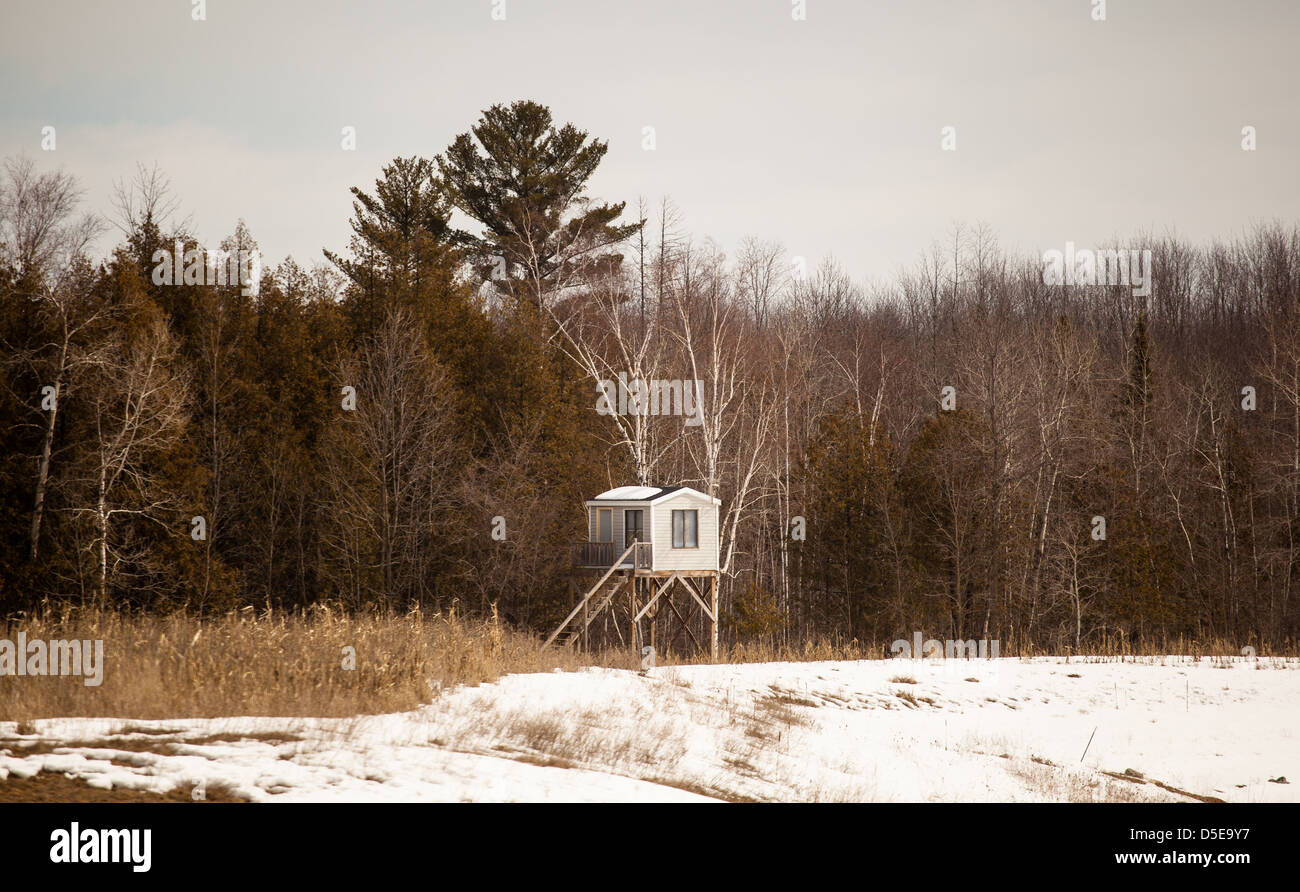 Wisconsin deer hunting tower blind Stock Photo Alamy