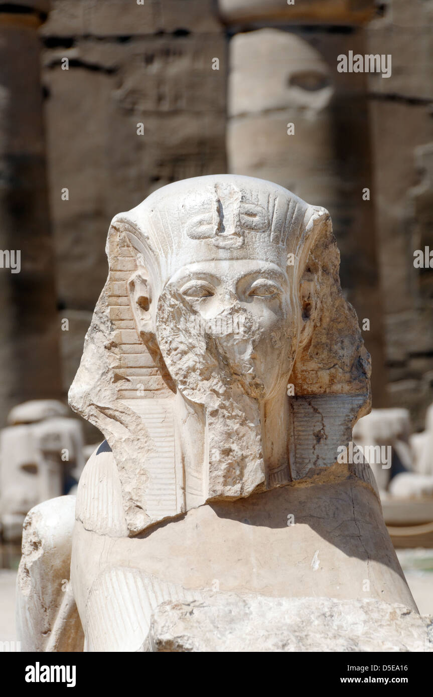 Lions in ancient egypt hires stock photography and images Alamy
