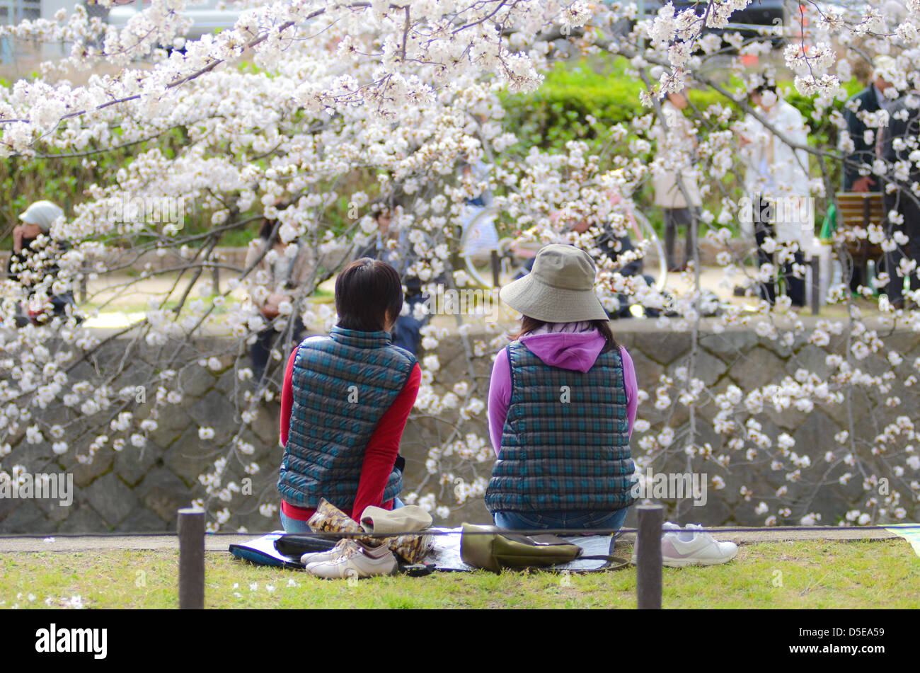 Kobe, Japan. 30th March, 2013 – Families and friends gather along a river in Shukugawa near Kobe on Saturday to celebrate the coming of spring. Credit image: Trevor Mogg / Alamy Live News Stock Photo