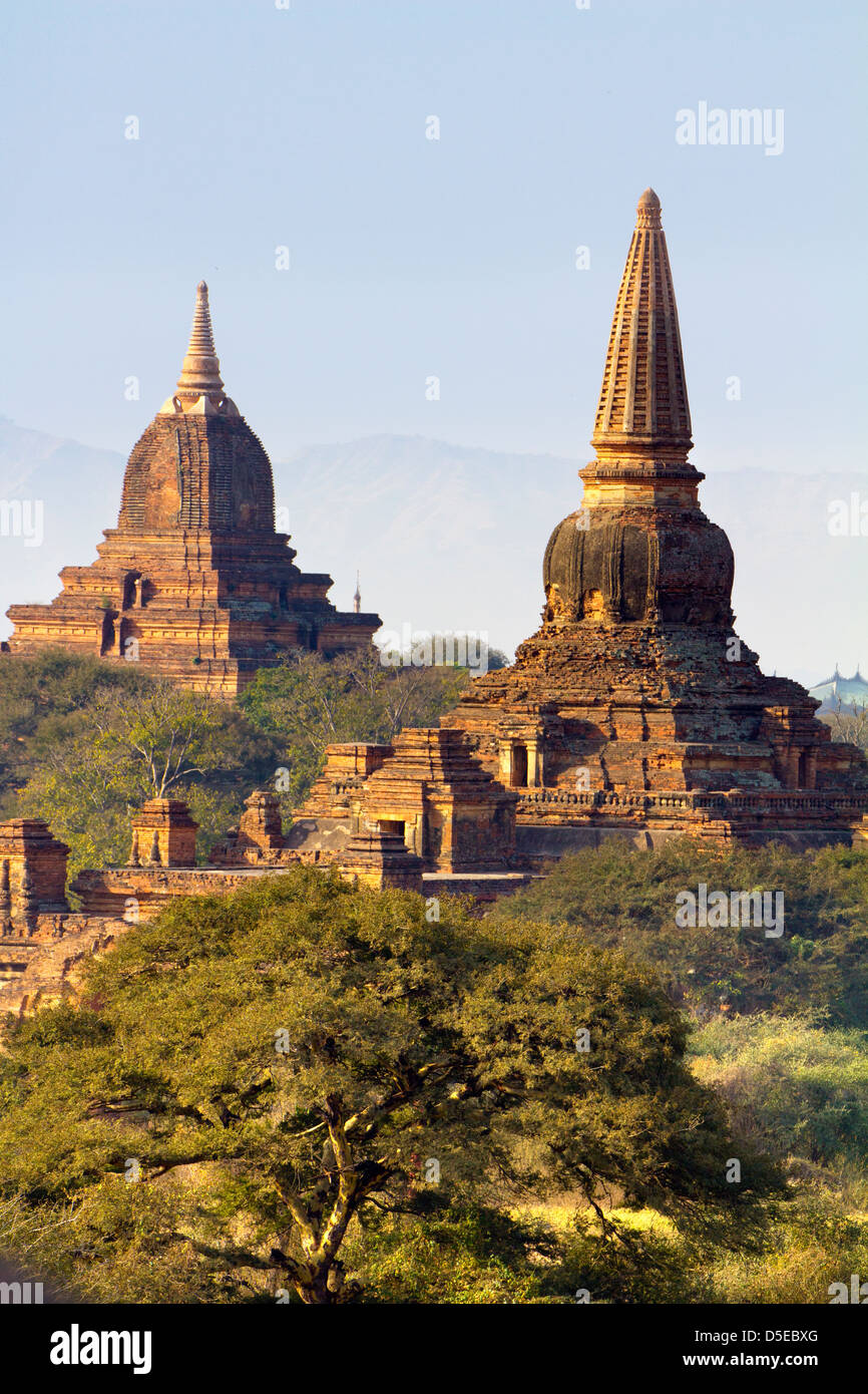 The Temples and Pagodas of Bagan, Myanmar - early morning 16 Stock Photo