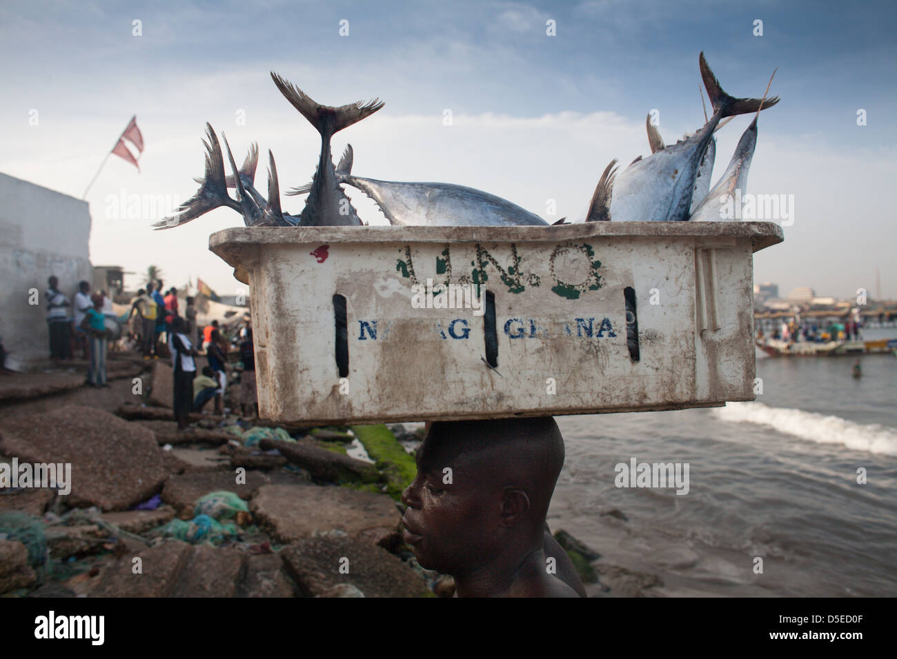 A fisherman carries in tuna to shore from a fishing boat in Accra, Ghana. Stock Photo