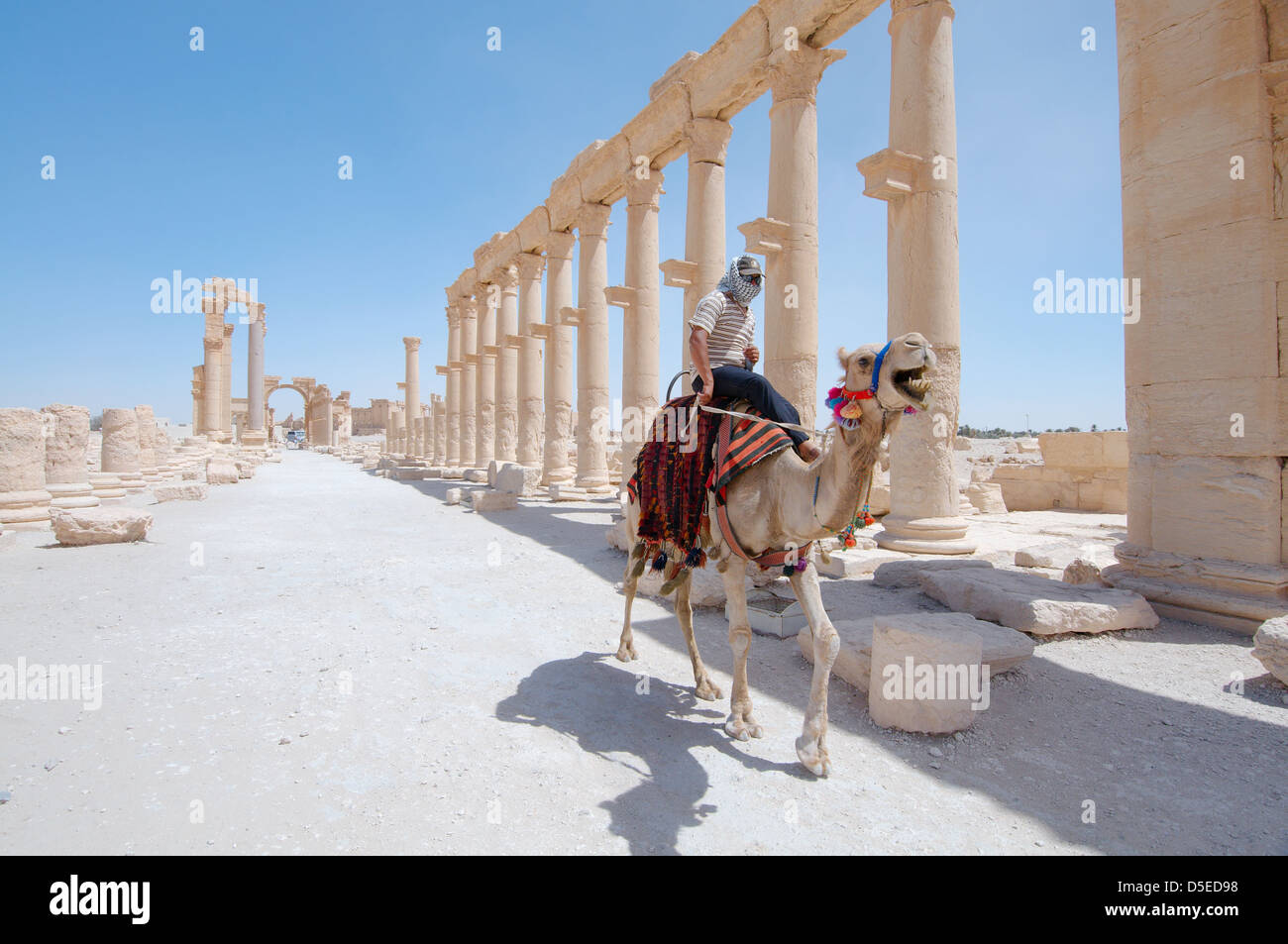 Syrian man rides on a camel near the colonnade in Palmyra, Syria Stock Photo