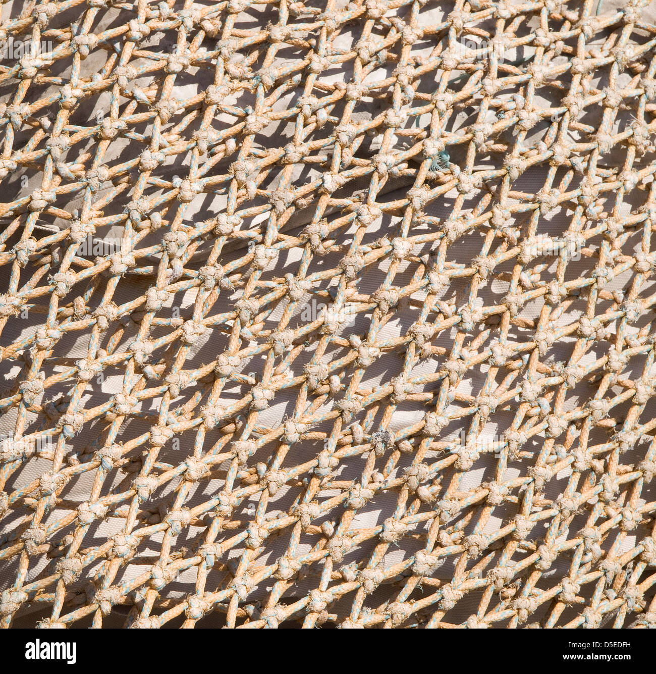 Abstract shell background fishing net hi-res stock photography and images -  Alamy