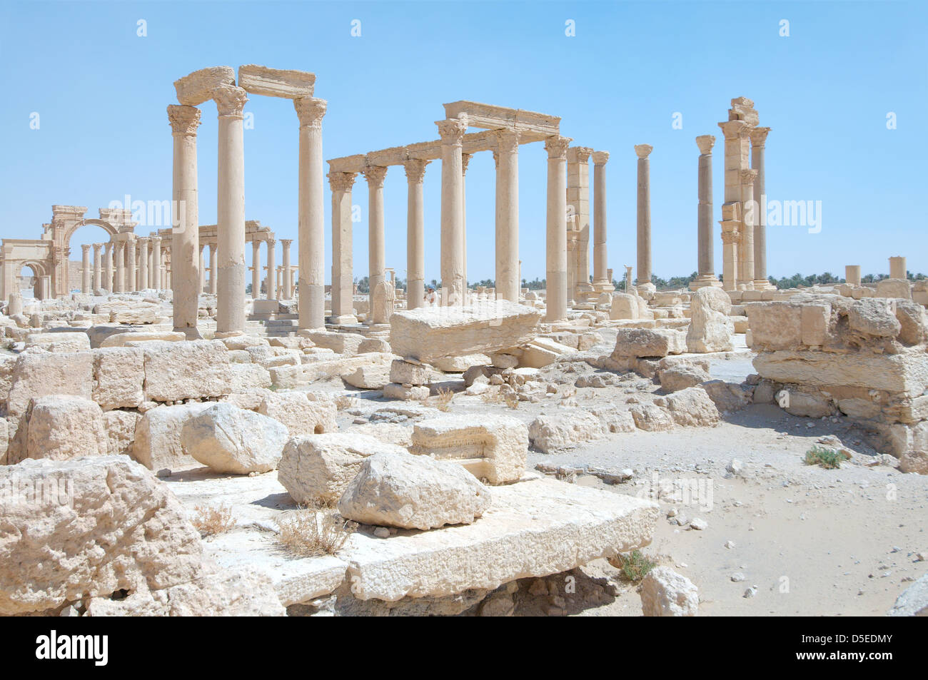 The ruins of the ancient city of Palmyra, Syria Stock Photo - Alamy