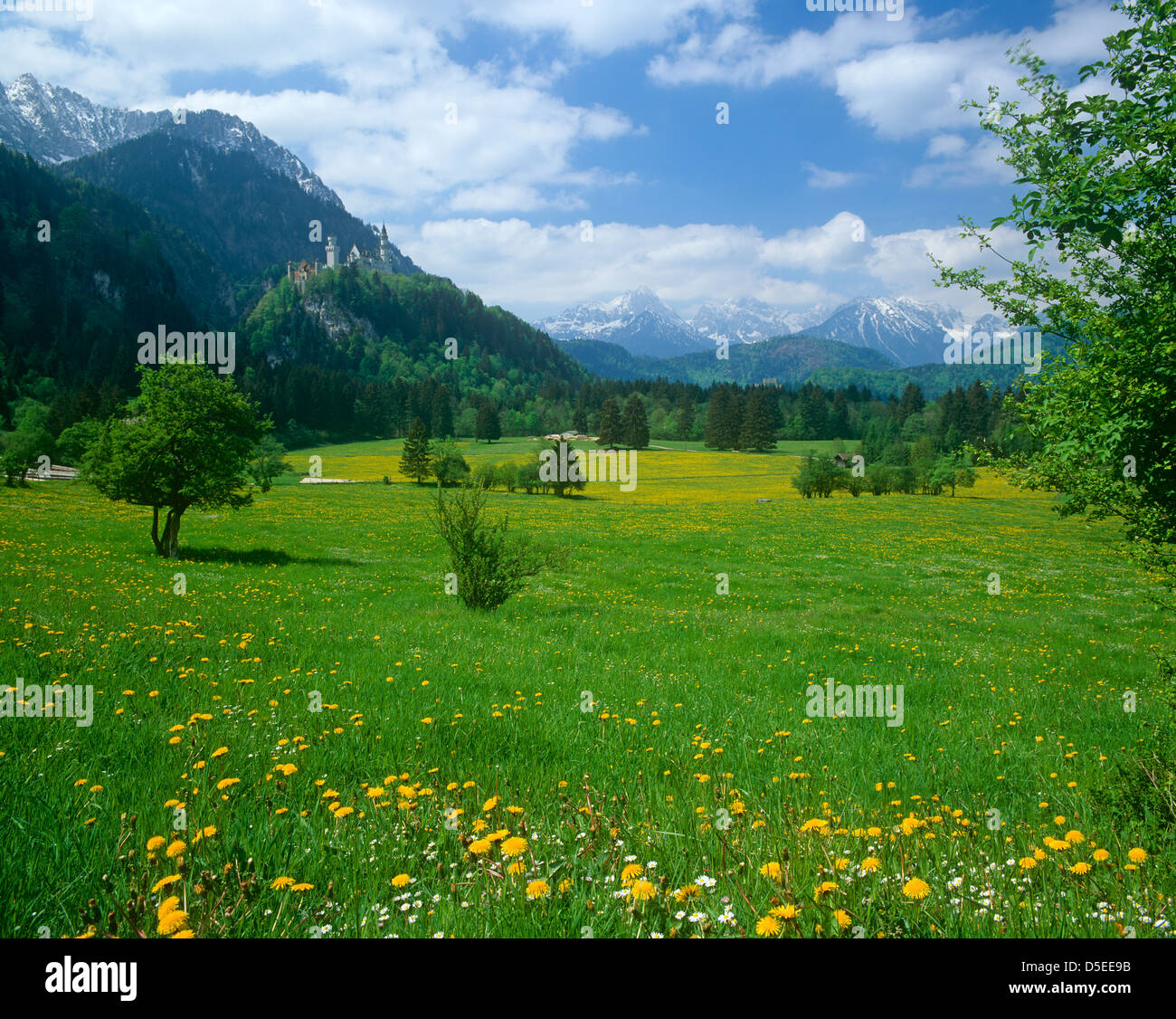Bavarian landscape, near Fussen, Germany Stock Photo - Alamy