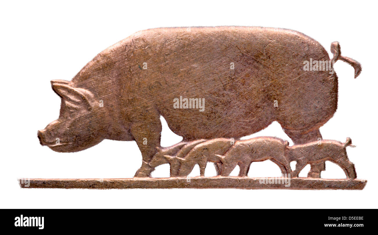 Pig with piglets from Half penny coin, Ireland, 1966, on white background Stock Photo