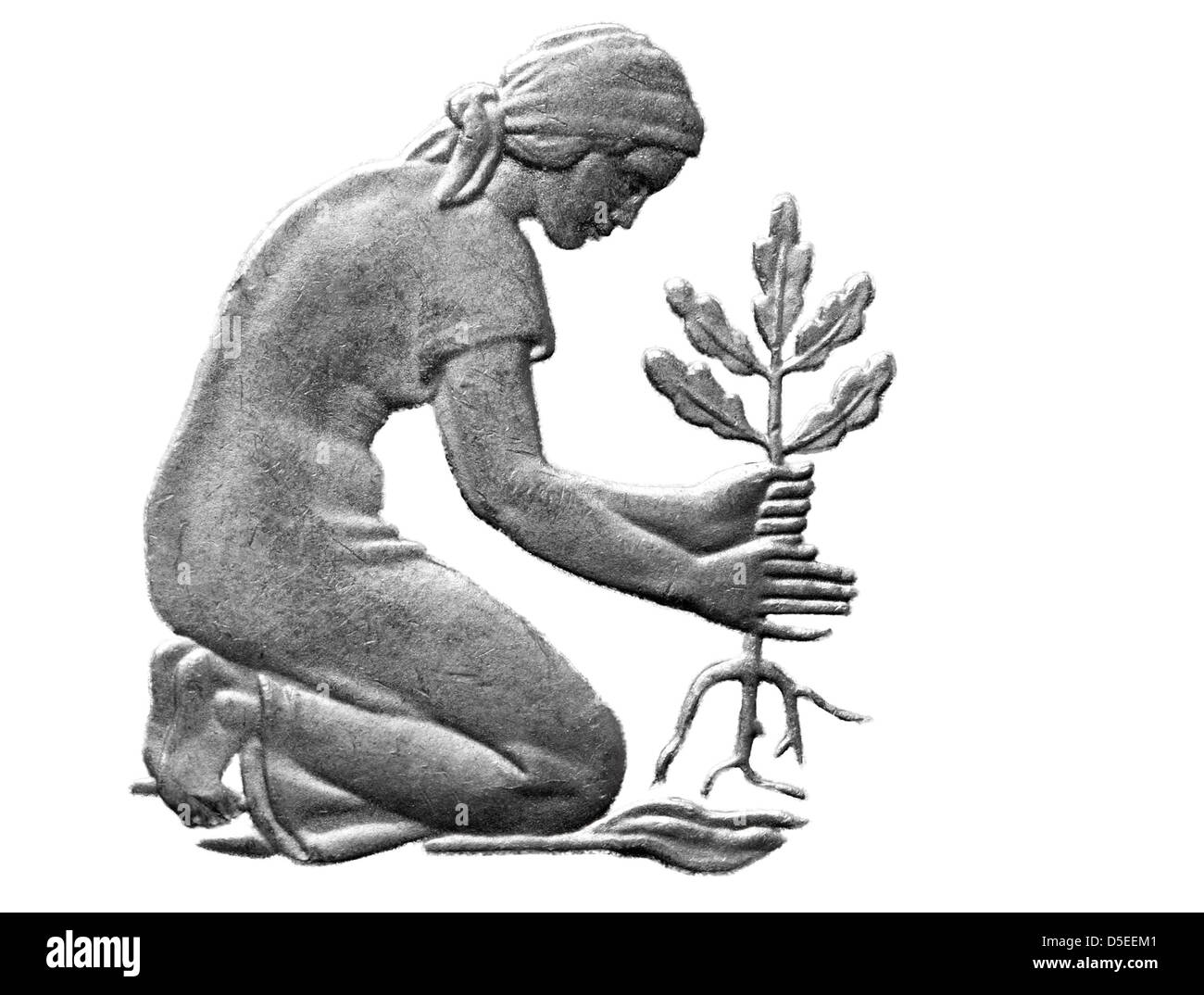 Woman planting an oak seedling from 50 Pfennig coin, West Germany, 1993, on white background Stock Photo