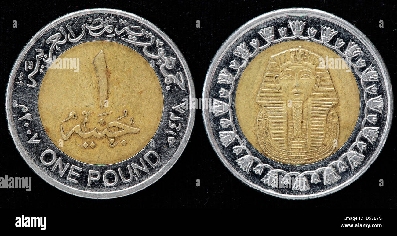 1 Pound coin, Egypt, 2008 Stock Photo