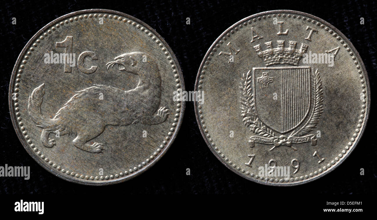 1 cent coin, Weasel ballottra, Malta, 1991 Stock Photo