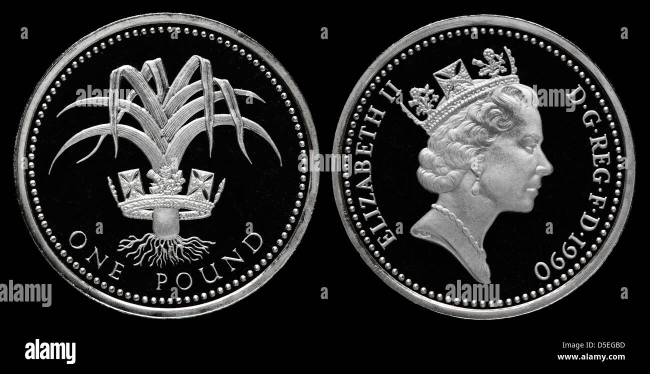 1 Pound coin, Queen Elizabeth II, Welsh leek, UK, 1990 Stock Photo