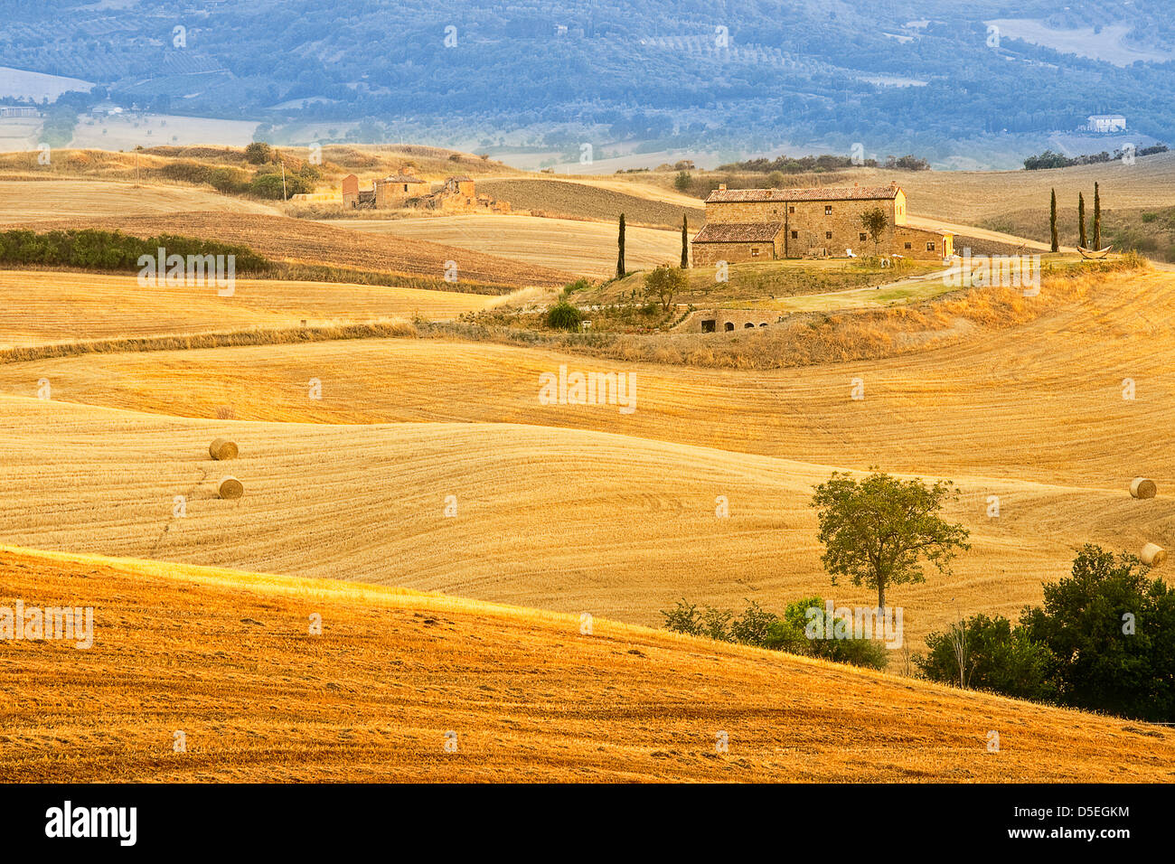 Lonely tree among fields hi-res stock photography and images - Alamy