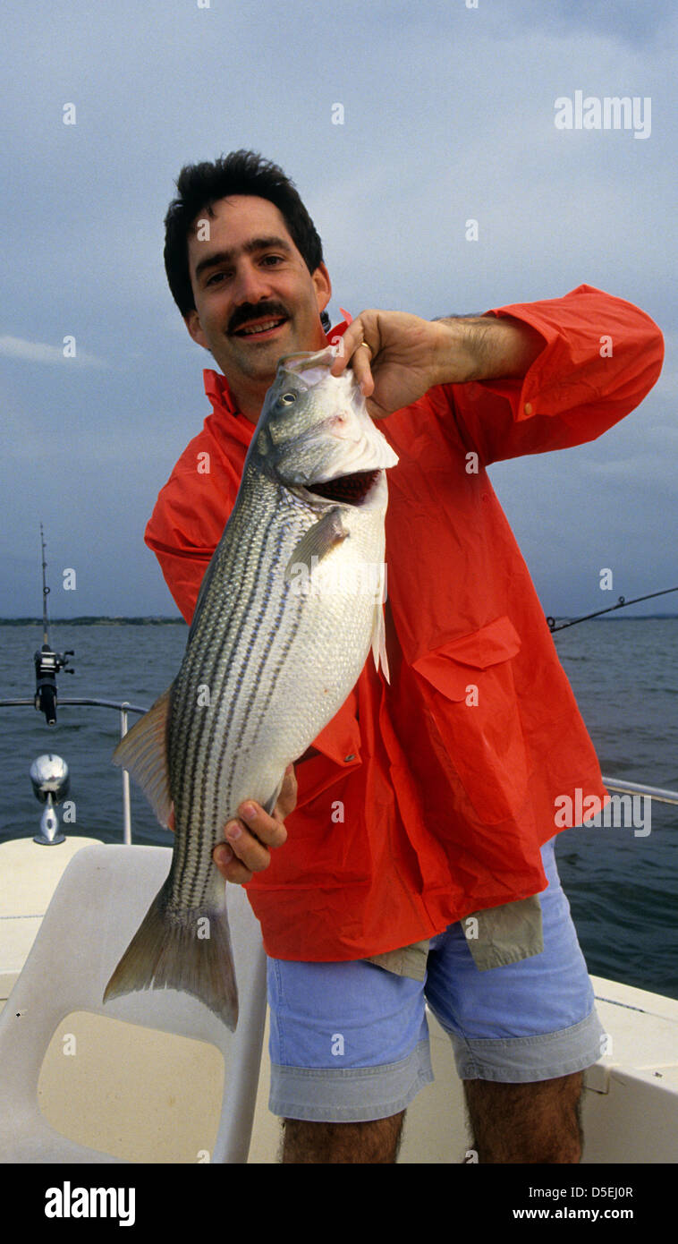 Man holding a freshwater striped bass (Morone saxatilis) from Lake