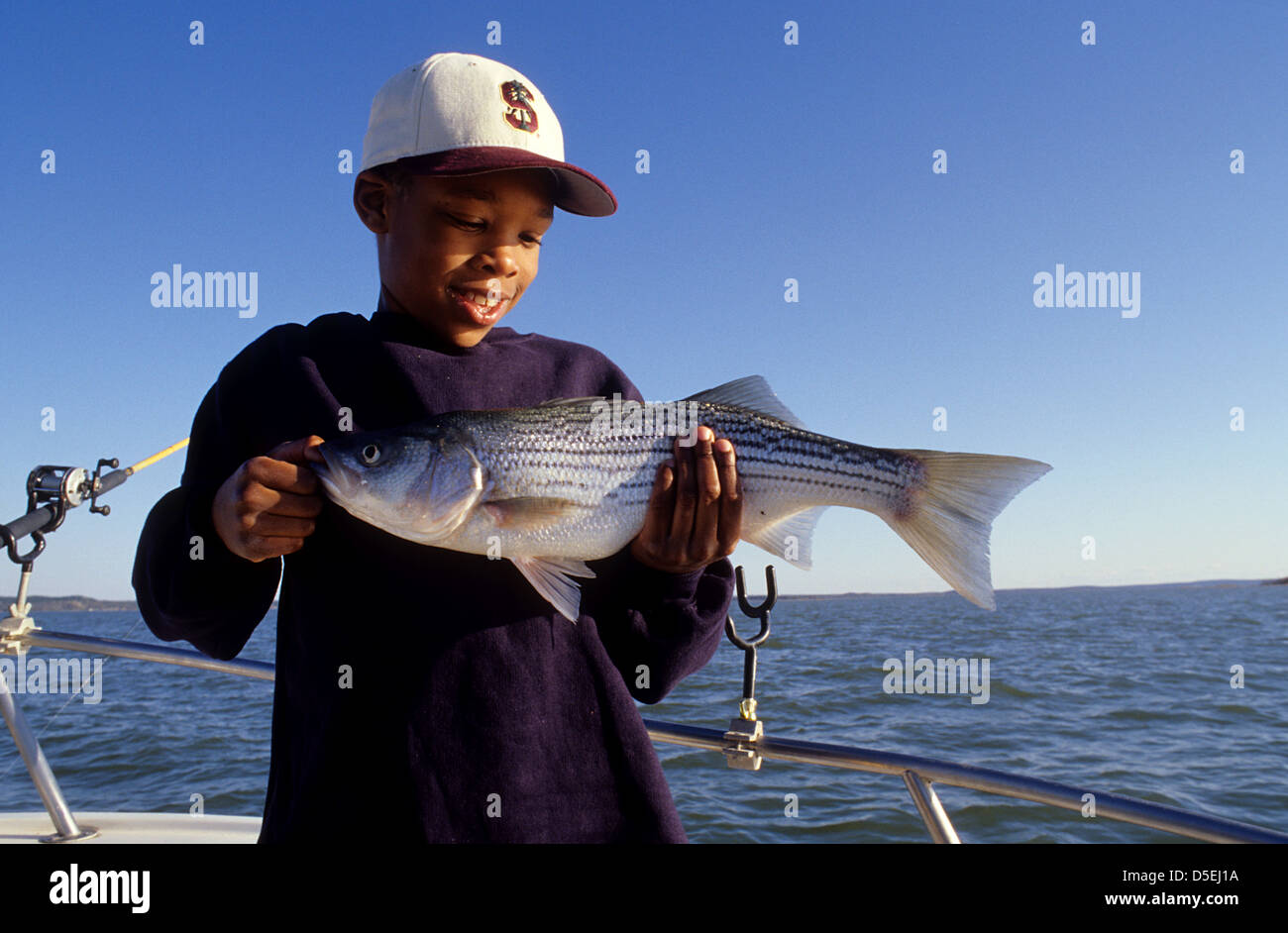 Young boy holding a freshwater striped bass (Morone saxatilis