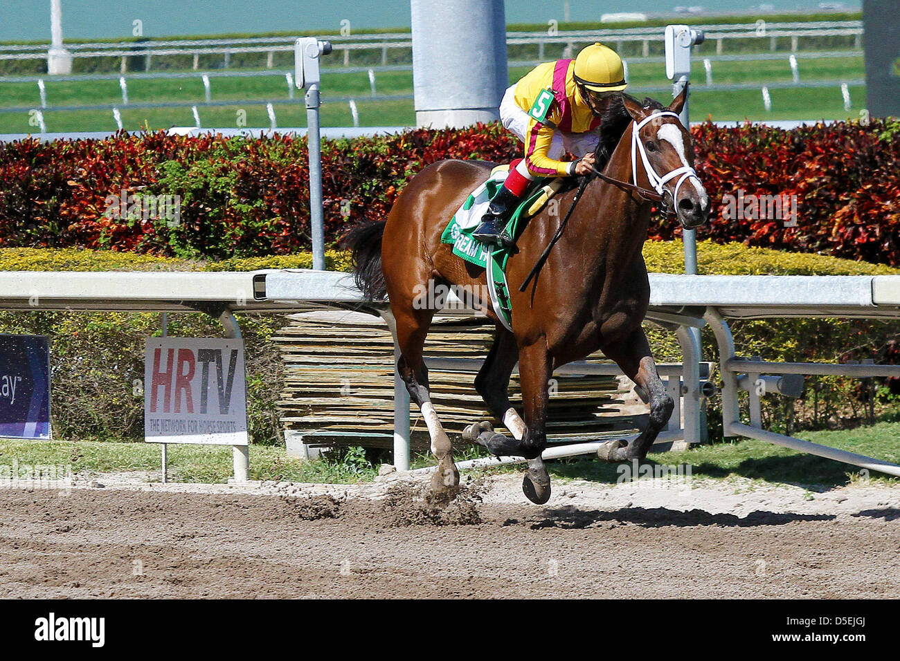 Hallandale Beach, Florida, USA. March 30th, 2013 Dreaming of Julia with jockey John Velazquez wins the Gulfstream Oaks (G2) at  Gulfstream Park,  Hallandale Beach Florida. 03-30-2013 (Credit Image: Credit:  Liz Lamont/Eclipse/ZUMAPRESS.com/Alamy Live News) Stock Photo