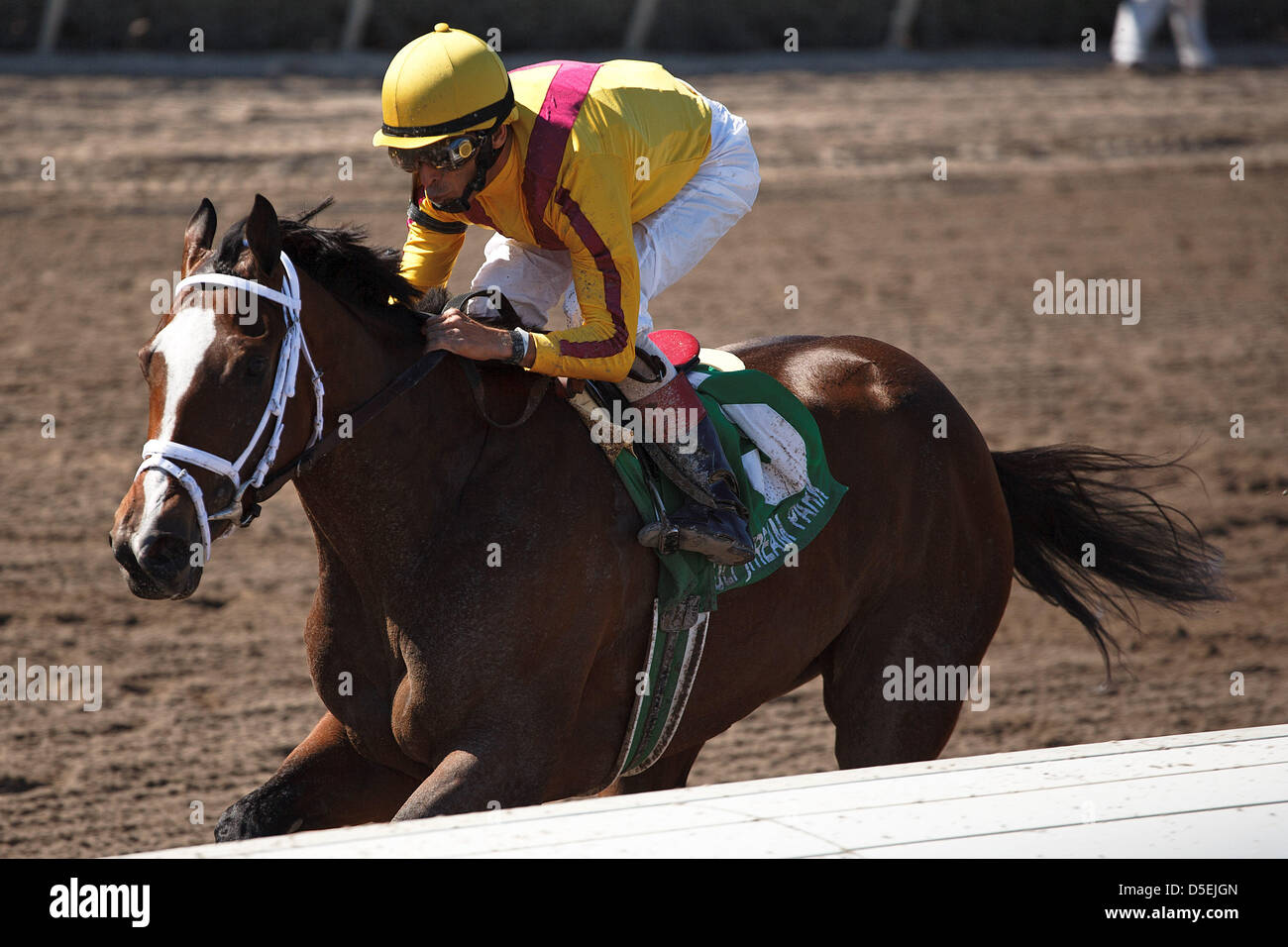 Hallandale Beach, Florida, USA. March 30th, 2013 Dreaming of Julia with jockey John Velazquez wins the Gulfstream Oaks (G2) at  Gulfstream Park,  Hallandale Beach Florida. 03-30-2013 (Credit Image: Credit:  Arron Haggart/Eclipse/ZUMAPRESS.com/Alamy Live News) Stock Photo