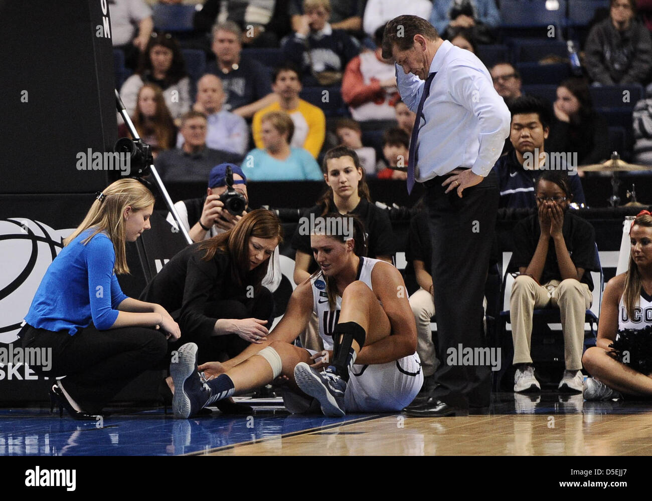 March 30, 2013 - Bridgeport, CT, USA - Saturday March 30, 2013: Connecticut Huskies Head coach Geno Auriemma stands over watching as Connecticut trainer Rose Mary Ragle tends to Connecticut Huskies center Stefanie Dolson (31) during the 1st half of an NCAA Womens Basketball Tournament, Bridgeport regional semi-final game between Maryland vs Connecticut at Webster Bank Arena in Bridgeport, CT. Connecticut went on to win 76-50 over Maryland. Bill Shettle / Cal Sport Media. Stock Photo