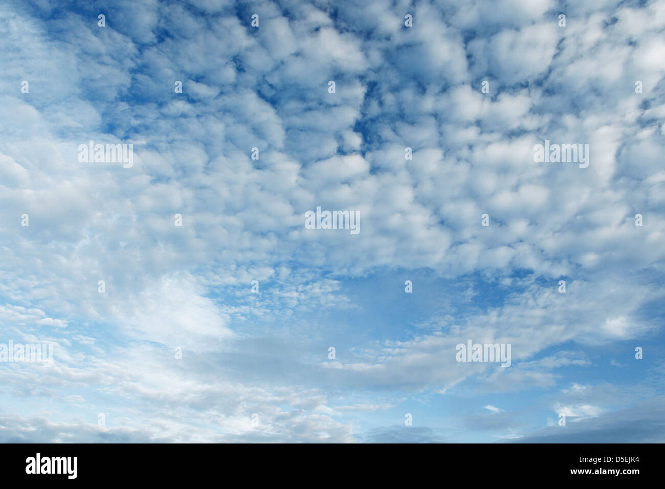 Altocumulus cloud patterns of white cloud forms against a blue sky Stock Photo