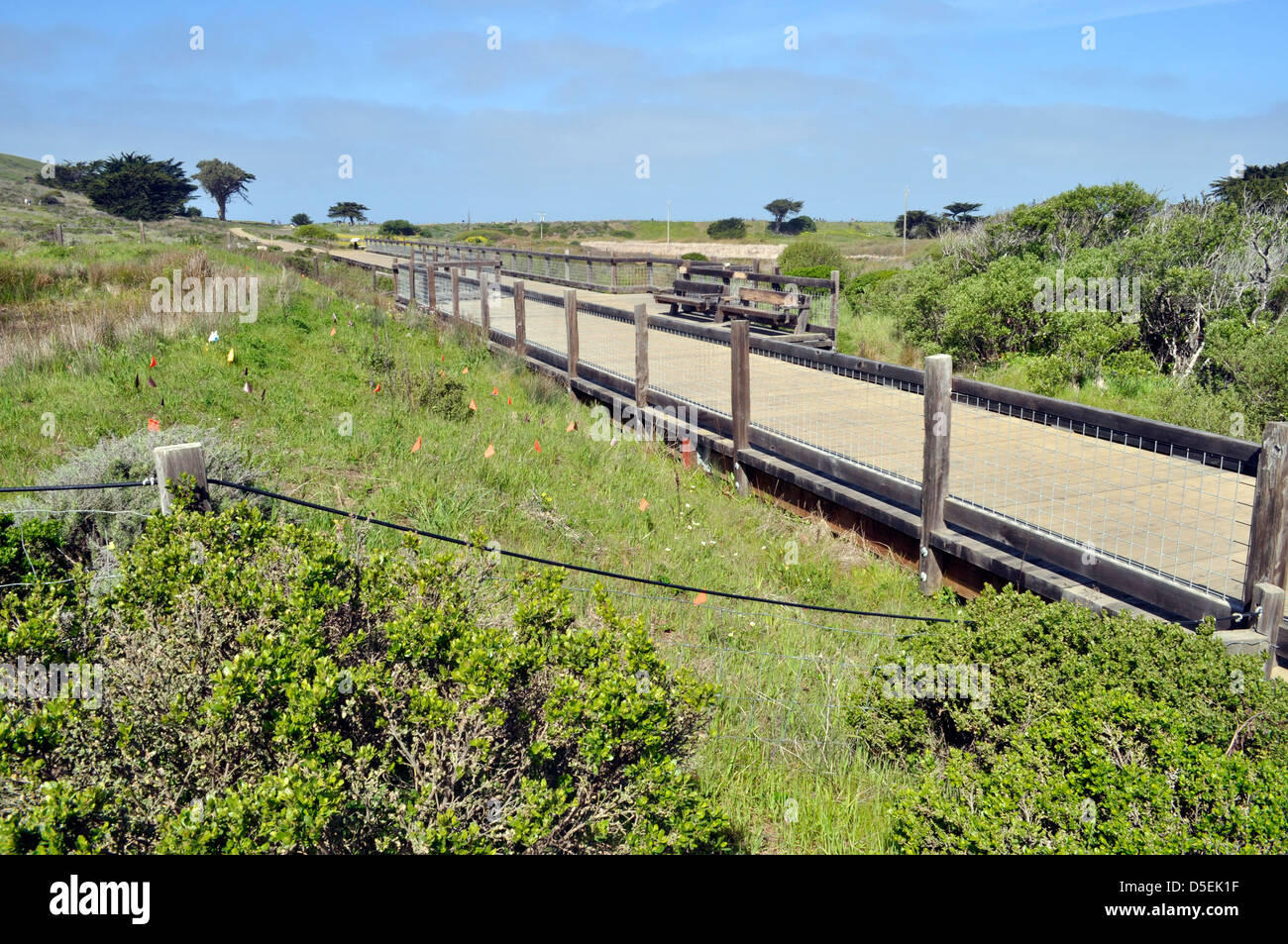 Mori Point, boardwalk, Golden Gate National Recreation Area, Pacifica, California, USA Stock Photo