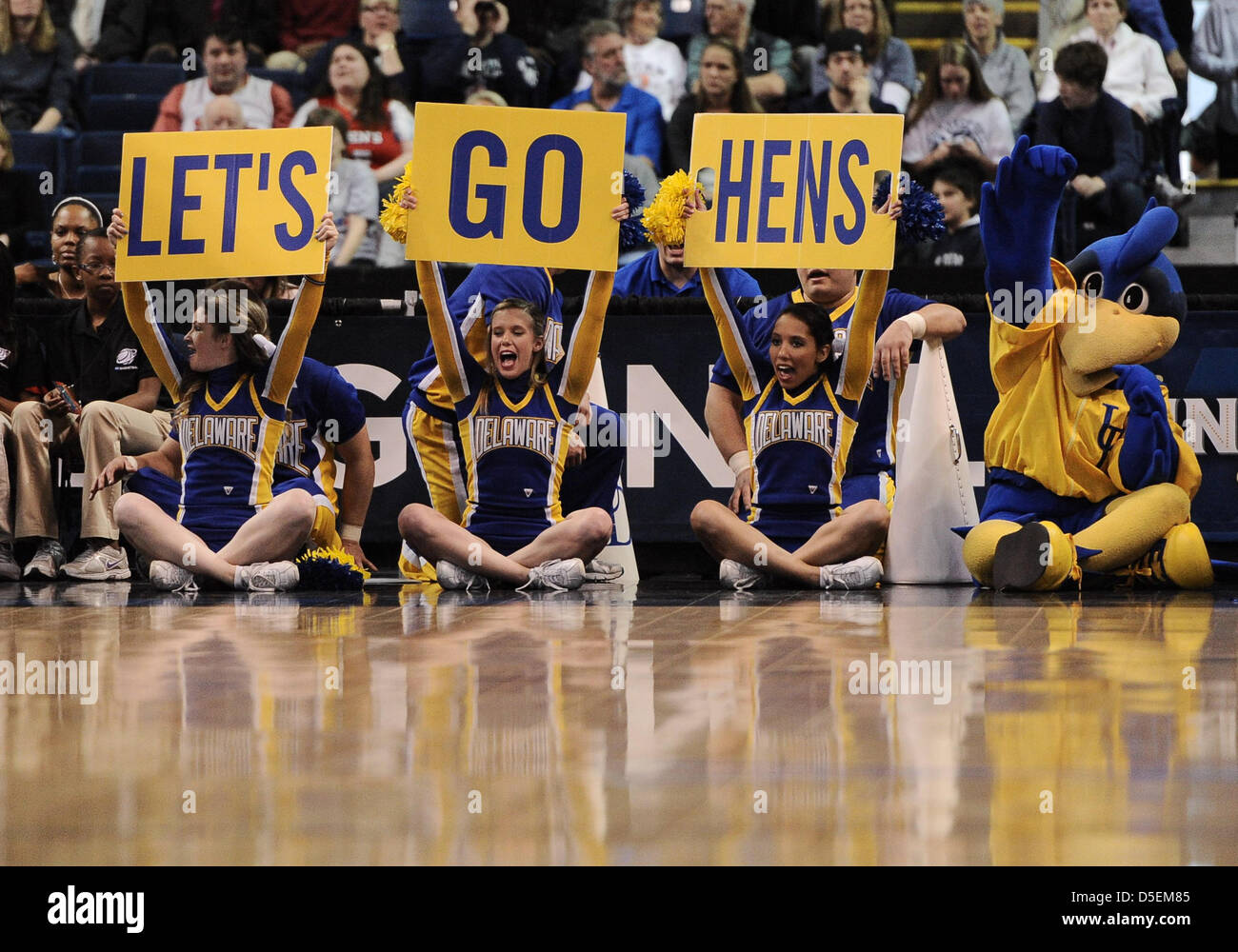 March 30, 2013 Bridgeport, CT, USA Saturday March 30, 2013 Delaware cheerleaders cheer for