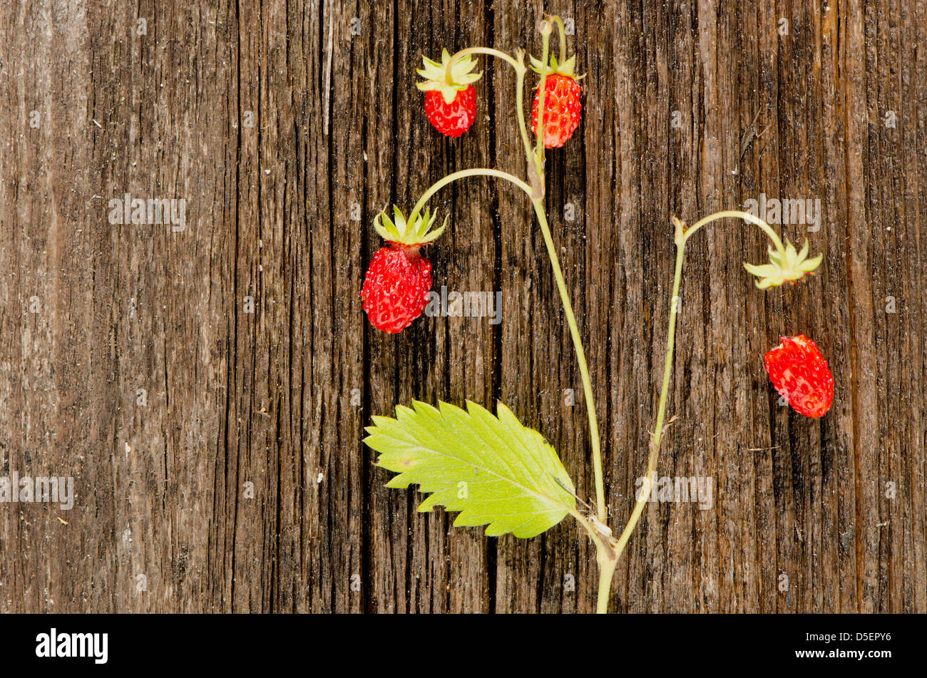 fresh wild strawberry berry on wooden background Stock Photo - Alamy