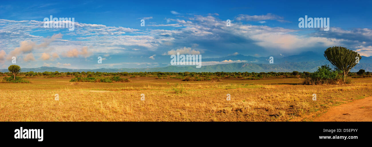 African savanna and Rwenzori Mountains, Queen Elizabeth N.P., Uganda Stock Photo