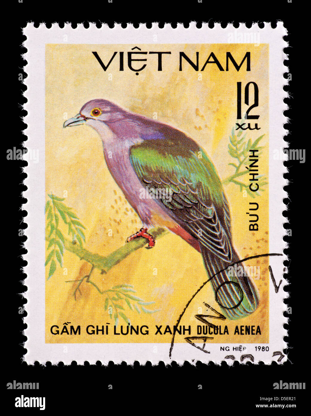 Postage stamp from Vietnam depicting a Green Imperial Pigeon (Ducula aenea) Stock Photo