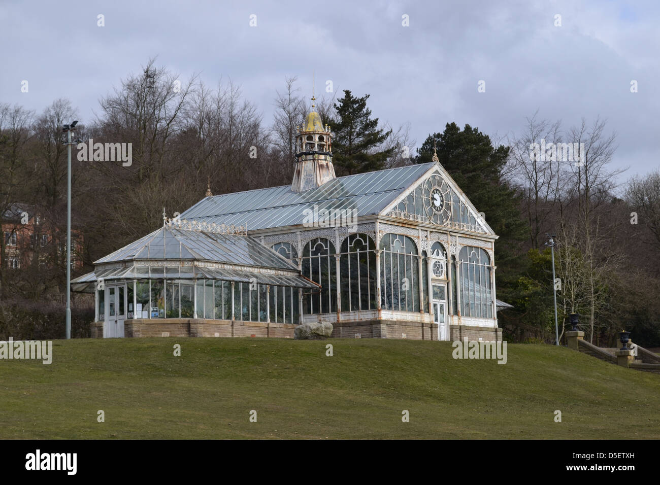 Ornamental conservatory plants hi-res stock photography and images - Alamy