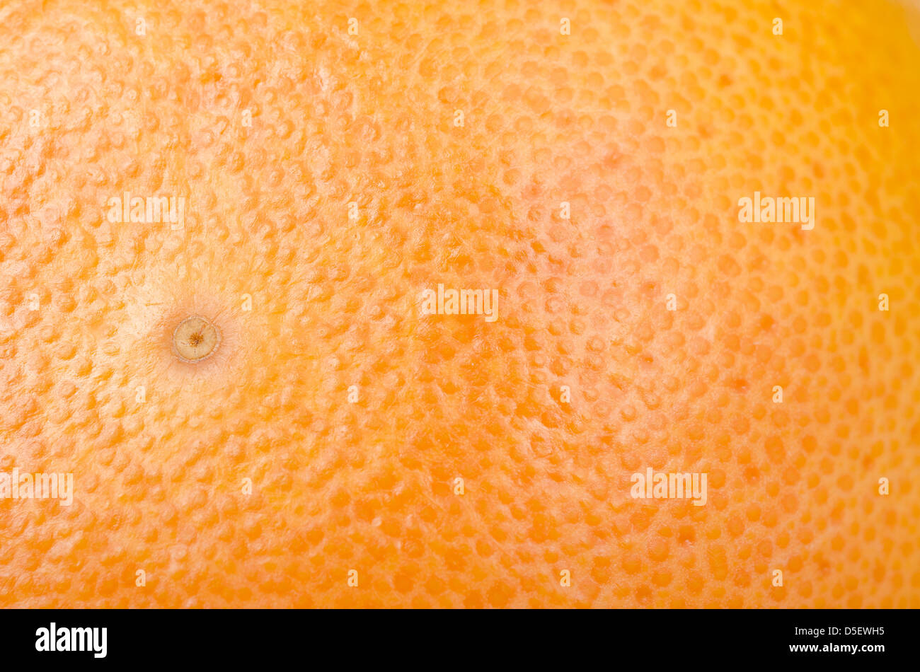 Orange Texture Stock Photo
